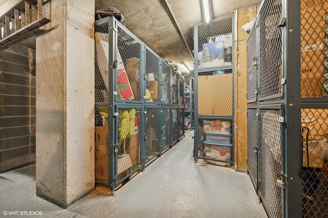 450 W Briar Pl Unit 12G, Chicago, IL 60657 - storage area featuring an exterior structure