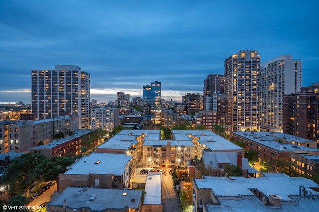 450 W Briar Pl Unit 12G, Chicago, IL 60657 - view of city