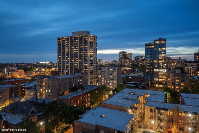 450 W Briar Pl Unit 12G, Chicago, IL 60657 - view of city