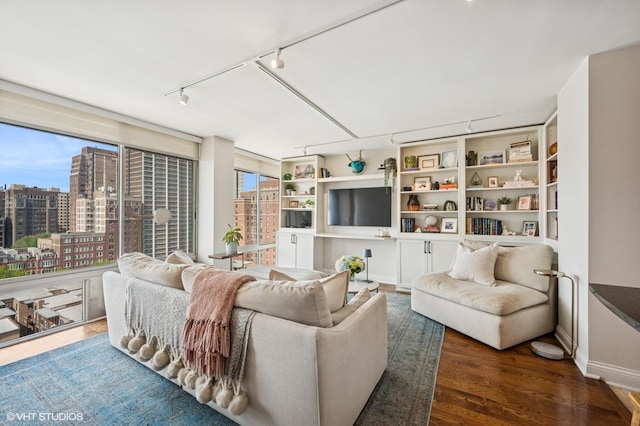 450 W Briar Pl Unit 12G, Chicago, IL 60657 - living room featuring track lighting, wood finished floors, a city view, and baseboards
