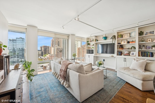 450 W Briar Pl Unit 12G, Chicago, IL 60657 - living room featuring track lighting and wood finished floors
