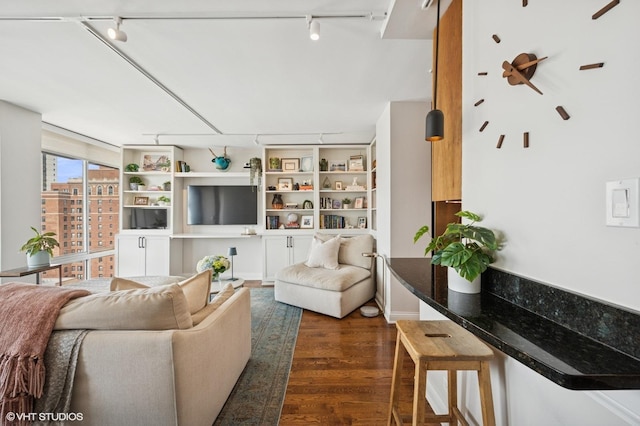 450 W Briar Pl Unit 12G, Chicago, IL 60657 - living room featuring track lighting and dark wood-type flooring