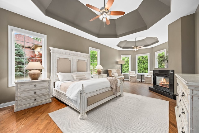 4103 Douglas Rd, Downers Grove, IL 60515 - bedroom with a tray ceiling, a multi sided fireplace, light wood-type flooring, and a ceiling fan