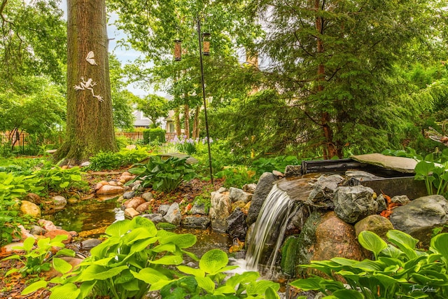2734 Alyssa Dr, Naperville, IL 60565 - view of nature featuring a small pond
