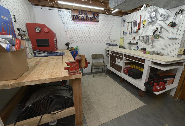 731 Marcy St, Ottawa, IL 61350 - below grade area featuring a workshop area