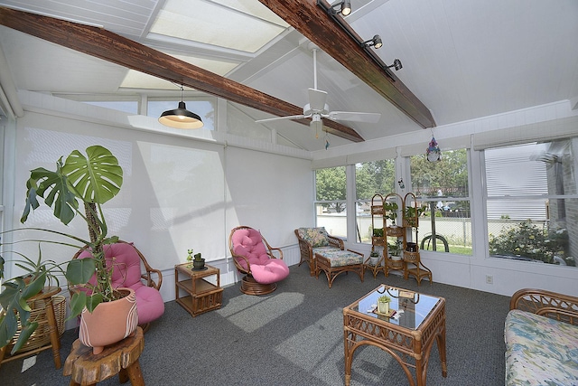 731 Marcy St, Ottawa, IL 61350 - sunroom featuring carpet floors