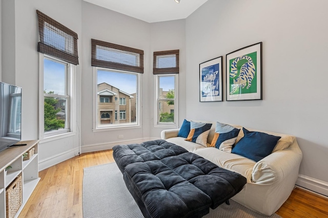 3430 S Parnell Ave, Chicago, IL 60616 - bedroom with hardwood / wood-style floors, multiple windows, and baseboards