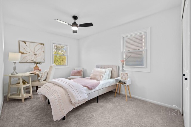2717 Briarwood Ct, Woodridge, IL 60517 - carpeted bedroom featuring baseboards and a ceiling fan