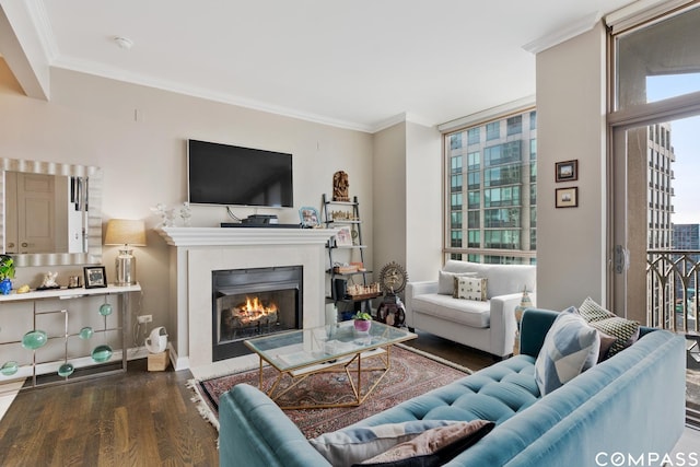 21 E Huron St Unit 3301, Chicago, IL 60611 - living area with wood finished floors, a fireplace with flush hearth, and crown molding