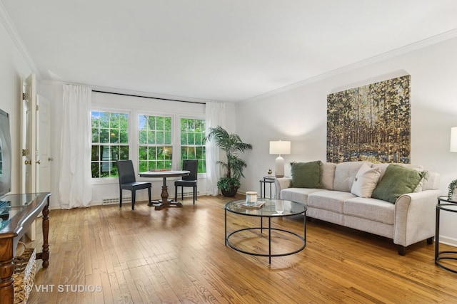 1116 W Mallard Dr, Palatine, IL 60067 - living area featuring ornamental molding and wood-type flooring