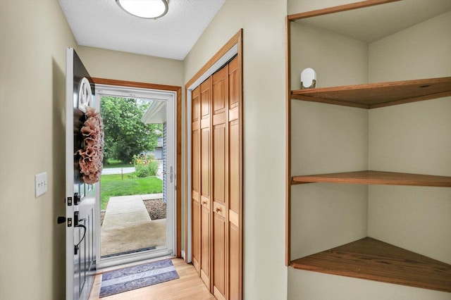 907 S Trailside Dr, Mahomet, IL 61853 - doorway featuring light wood finished floors