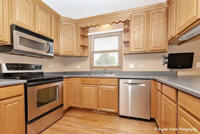 12401 Bigelow Ave, Hebron, IL 60034 - kitchen with stainless steel appliances, a sink, open shelves, light brown cabinetry, and light wood-style floors