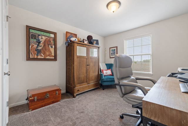 12414 Dublin Ln, Plainfield, IL 60585 - photo 23