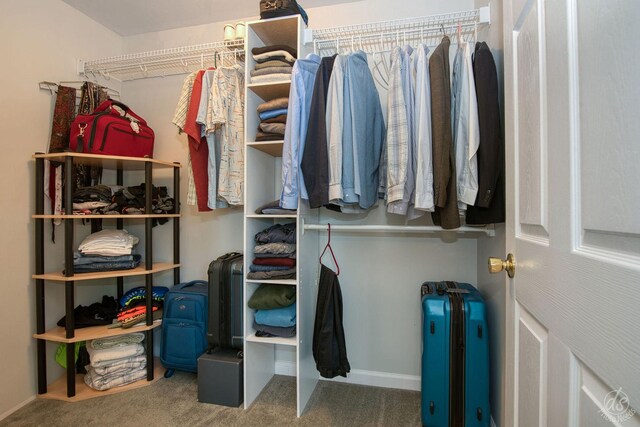 28671 Moose Range Rd, Sycamore, IL 60178 - spacious closet with carpet flooring