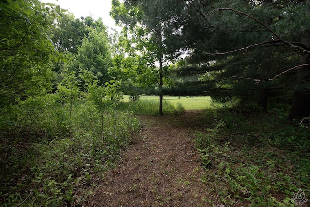 28671 Moose Range Rd, Sycamore, IL 60178 - view of yard featuring a view of trees