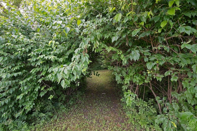 28671 Moose Range Rd, Sycamore, IL 60178 - view of nature
