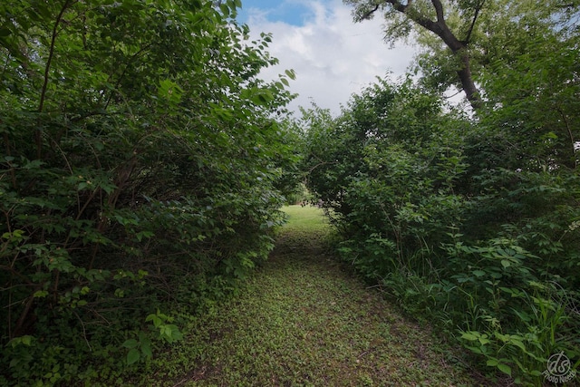 28671 Moose Range Rd, Sycamore, IL 60178 - view of local wilderness