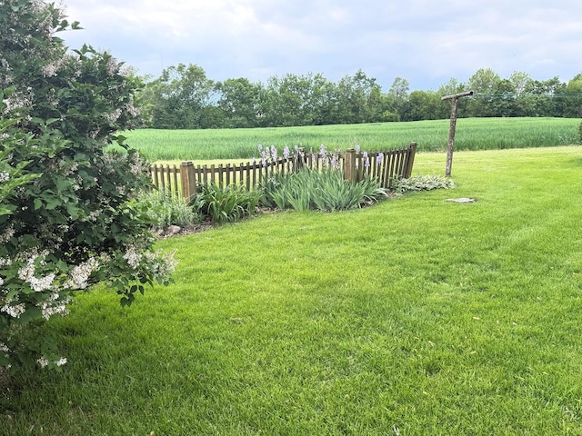 1417 S College Ave, Dixon, IL 61021 - view of yard