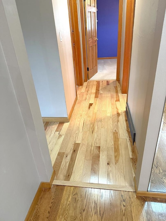 1417 S College Ave, Dixon, IL 61021 - hallway with light wood finished floors and baseboards