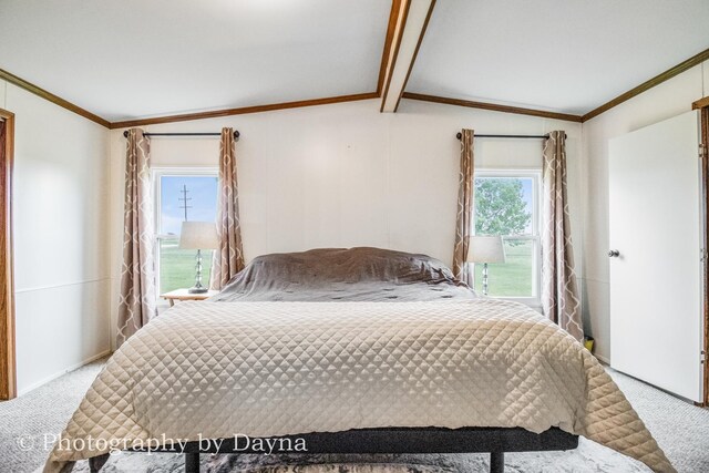 6934 E 5000 S Rd, Saint Anne, IL 60964 - photo 9