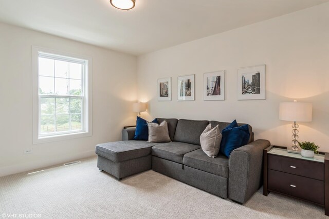 6030 Fairview Ave, Downers Grove, IL 60516 - living room featuring light colored carpet