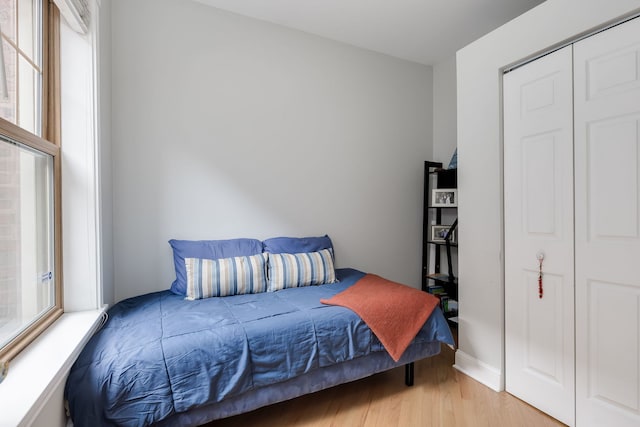 5331 S Harper Ave Unit 1, Chicago, IL 60615 - bedroom featuring light wood-style floors, multiple windows, and a closet