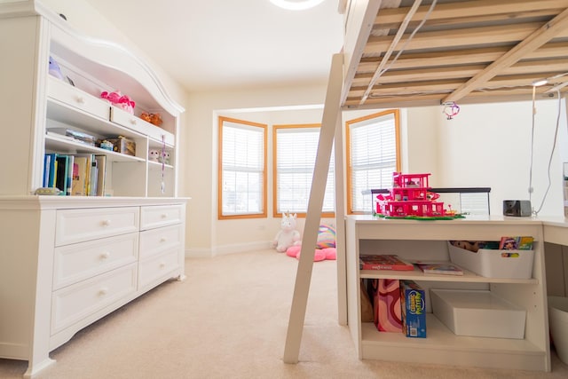 13119 Millbank Dr, Plainfield, IL 60585 - bedroom featuring light colored carpet and baseboards