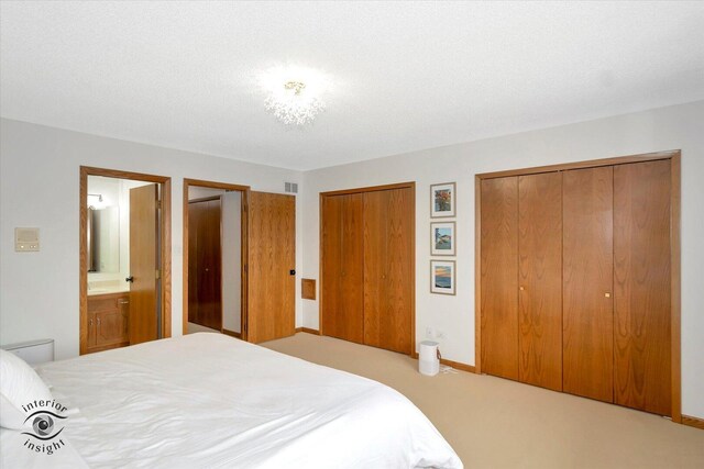 17932 S Alaska Ct Unit 21, Orland Park, IL 60467 - carpeted bedroom featuring multiple closets, baseboards, and connected bathroom