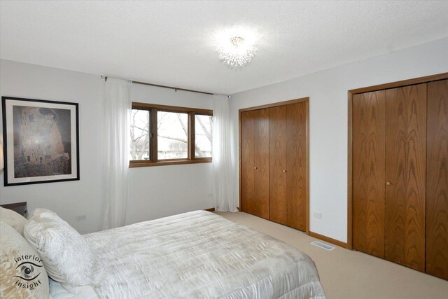 17932 S Alaska Ct Unit 21, Orland Park, IL 60467 - bedroom featuring multiple closets, carpet flooring, baseboards, and a textured ceiling