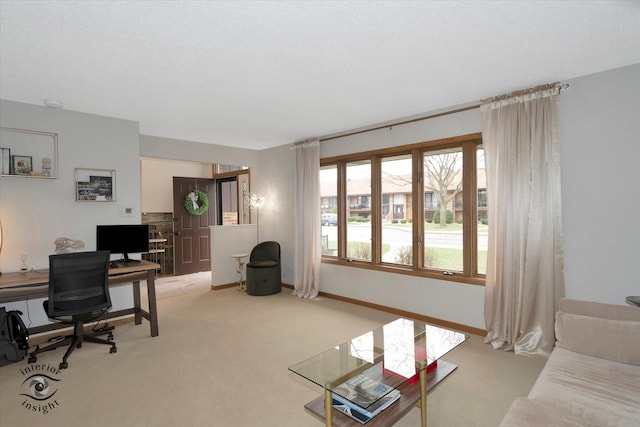 17932 S Alaska Ct Unit 21, Orland Park, IL 60467 - living area featuring a desk, plenty of natural light, light carpet, and baseboards