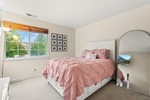 266 Sierra Pass Dr, Schaumburg, IL 60194 - bedroom featuring carpet and baseboards