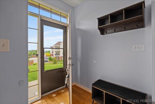 12709 Wild Rye Ct, Plainfield, IL 60585 - mudroom with light wood finished floors and baseboards