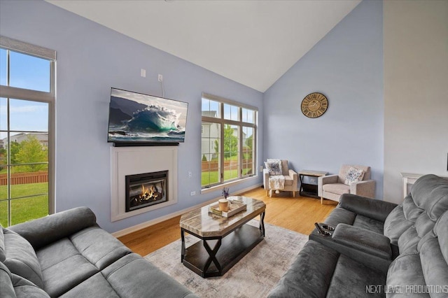 12709 Wild Rye Ct, Plainfield, IL 60585 - living area with high vaulted ceiling, wood finished floors, and a glass covered fireplace
