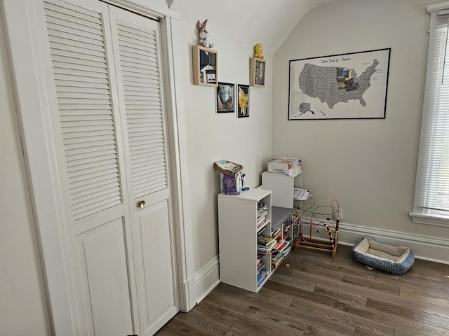427 W Hurlbut Ave, Belvidere, IL 61008 - interior space with lofted ceiling, dark wood finished floors, and baseboards