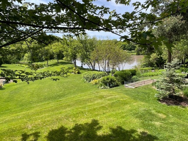 904 Warwick Ln, Lake Zurich, IL 60047 - view of green lawn with a water view and a garden