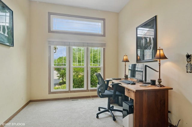 904 Warwick Ln, Lake Zurich, IL 60047 - carpeted home office featuring baseboards