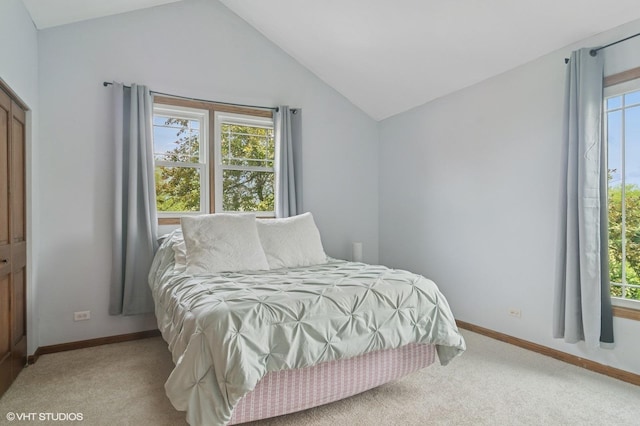 904 Warwick Ln, Lake Zurich, IL 60047 - bedroom featuring vaulted ceiling and carpet flooring