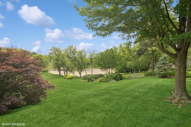 904 Warwick Ln, Lake Zurich, IL 60047 - view of grassy yard