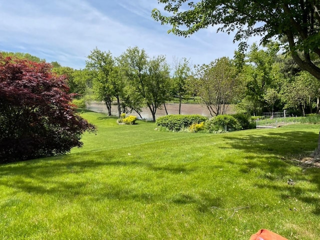 904 Warwick Ln, Lake Zurich, IL 60047 - view of green lawn