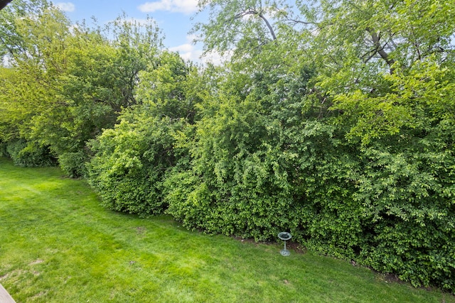 913 Knottingham Dr Unit 2A, Schaumburg, IL 60193 - view of grassy yard