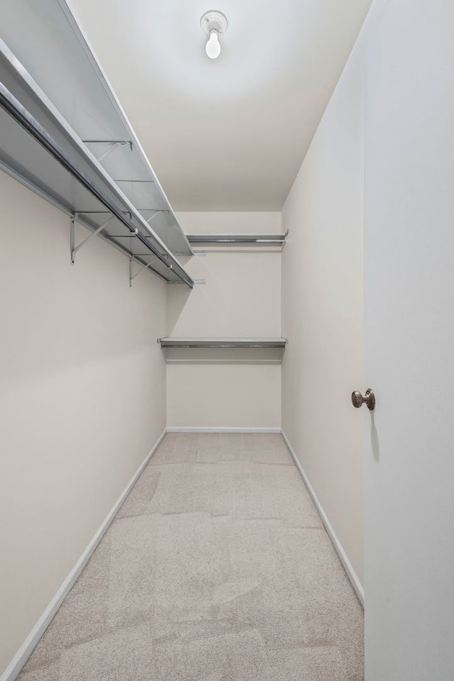 913 Knottingham Dr Unit 2A, Schaumburg, IL 60193 - walk in closet featuring carpet floors