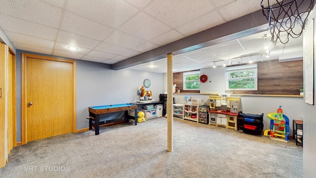 1176 Westport Rdg, Crystal Lake, IL 60014 - game room with carpet and a paneled ceiling