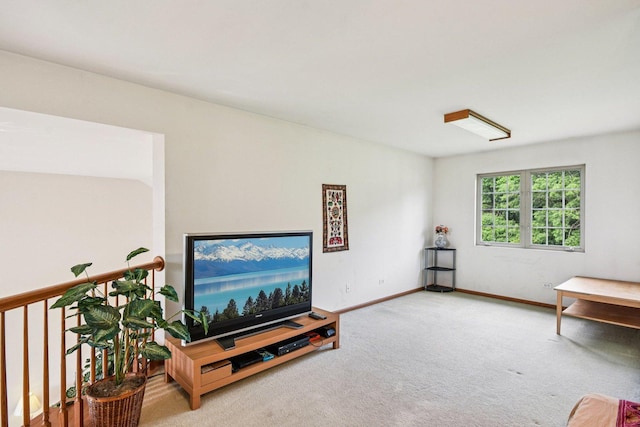 3410 Beckwith Ln, Crete, IL 60417 - living area with carpet floors and baseboards