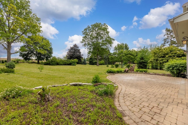 13045 Silver Fox Dr, Lemont, IL 60439 - view of grassy yard