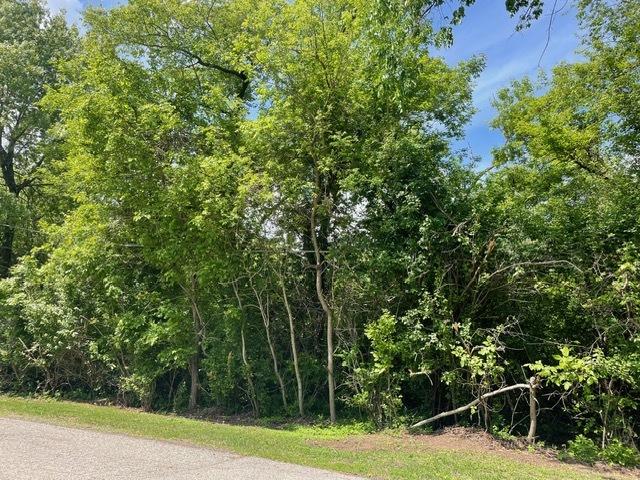 LOT0 Pine St S, Mchenry, IL 60051 - photo 1