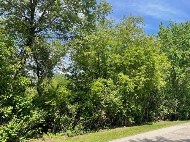 LOT0 Pine St S, Mchenry, IL 60051 - photo 2