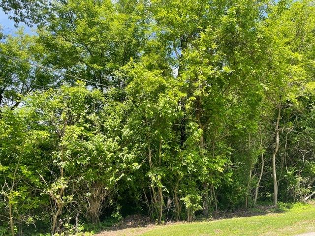 LOT0 Pine St S, Mchenry, IL 60051 - photo 3