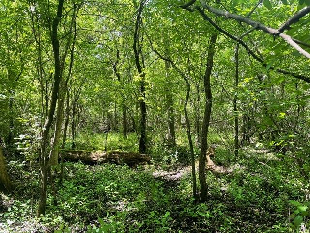 LOT0 Pine St S, Mchenry, IL 60051 - photo 4