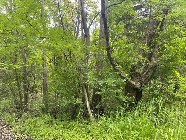 LOT0 Pine St S, Mchenry, IL 60051 - photo 6