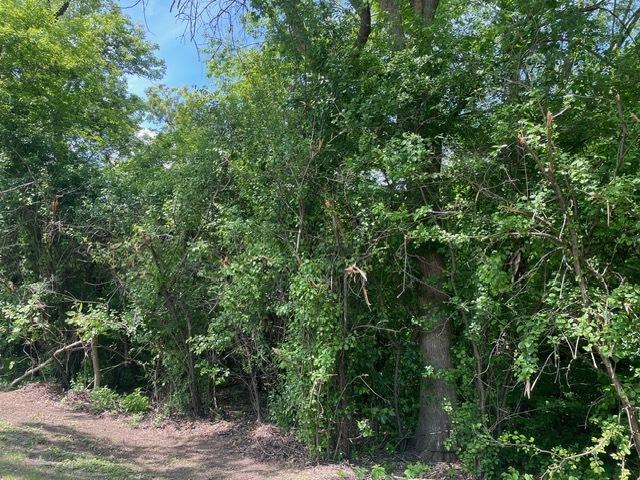 LOT0 Pine St S, Mchenry, IL 60051 - photo 8